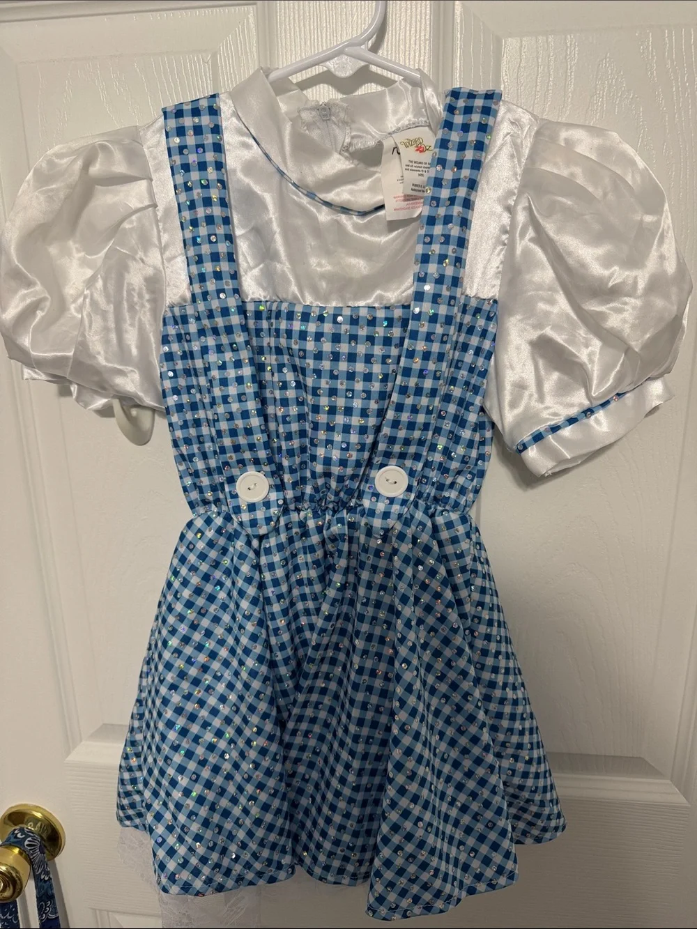 Disney children’s play wardrobe or costumes. There are nine dresses